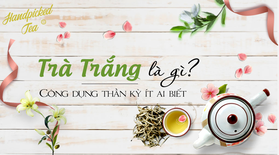 tra-trang-la-gi